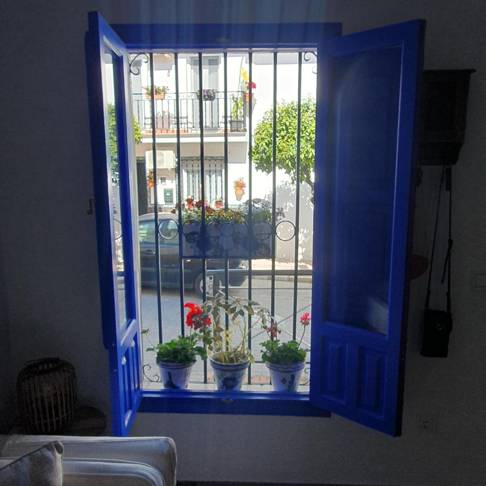 Casa Haarlemena Villa Monda Dış mekan fotoğraf