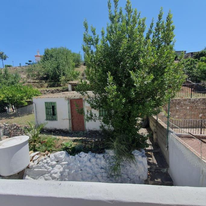 Casa Haarlemena Villa Monda Dış mekan fotoğraf