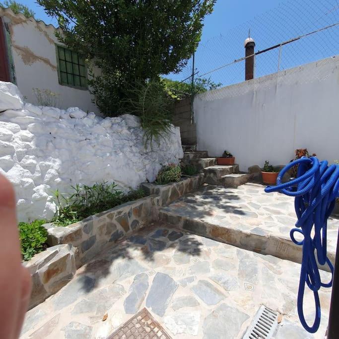 Casa Haarlemena Villa Monda Dış mekan fotoğraf